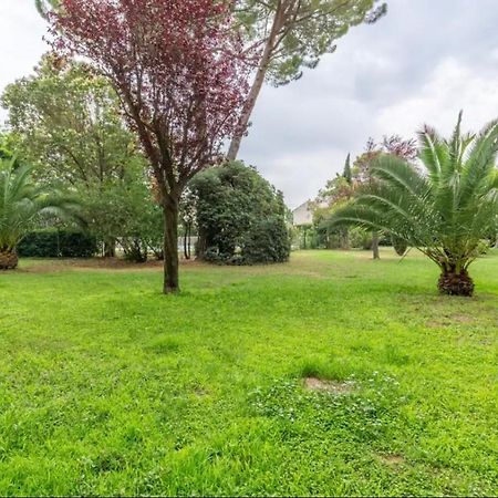 Appartamento Cosy T3 - Jardin - Parking - Piscine Montpellier Esterno foto
