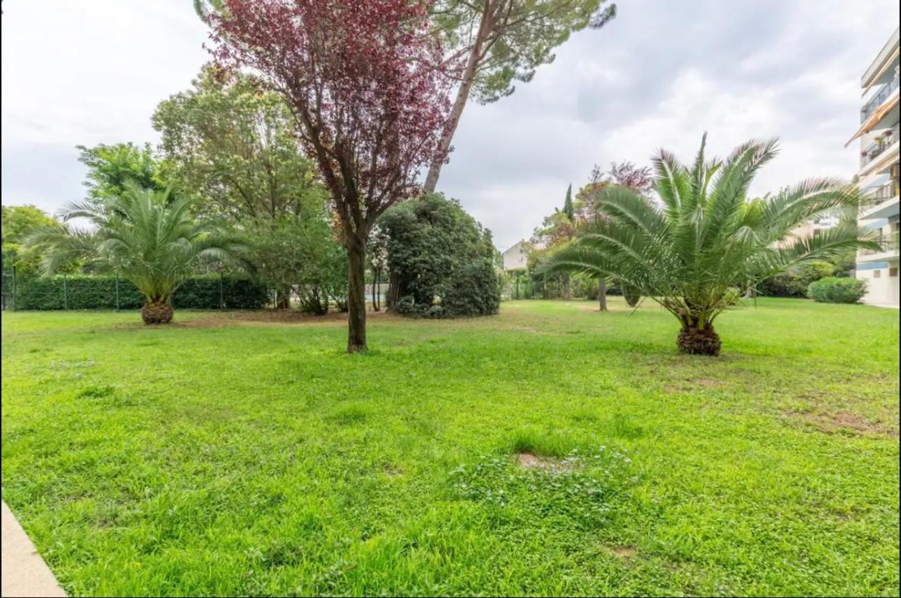 Appartamento Cosy T3 - Jardin - Parking - Piscine Montpellier Esterno foto